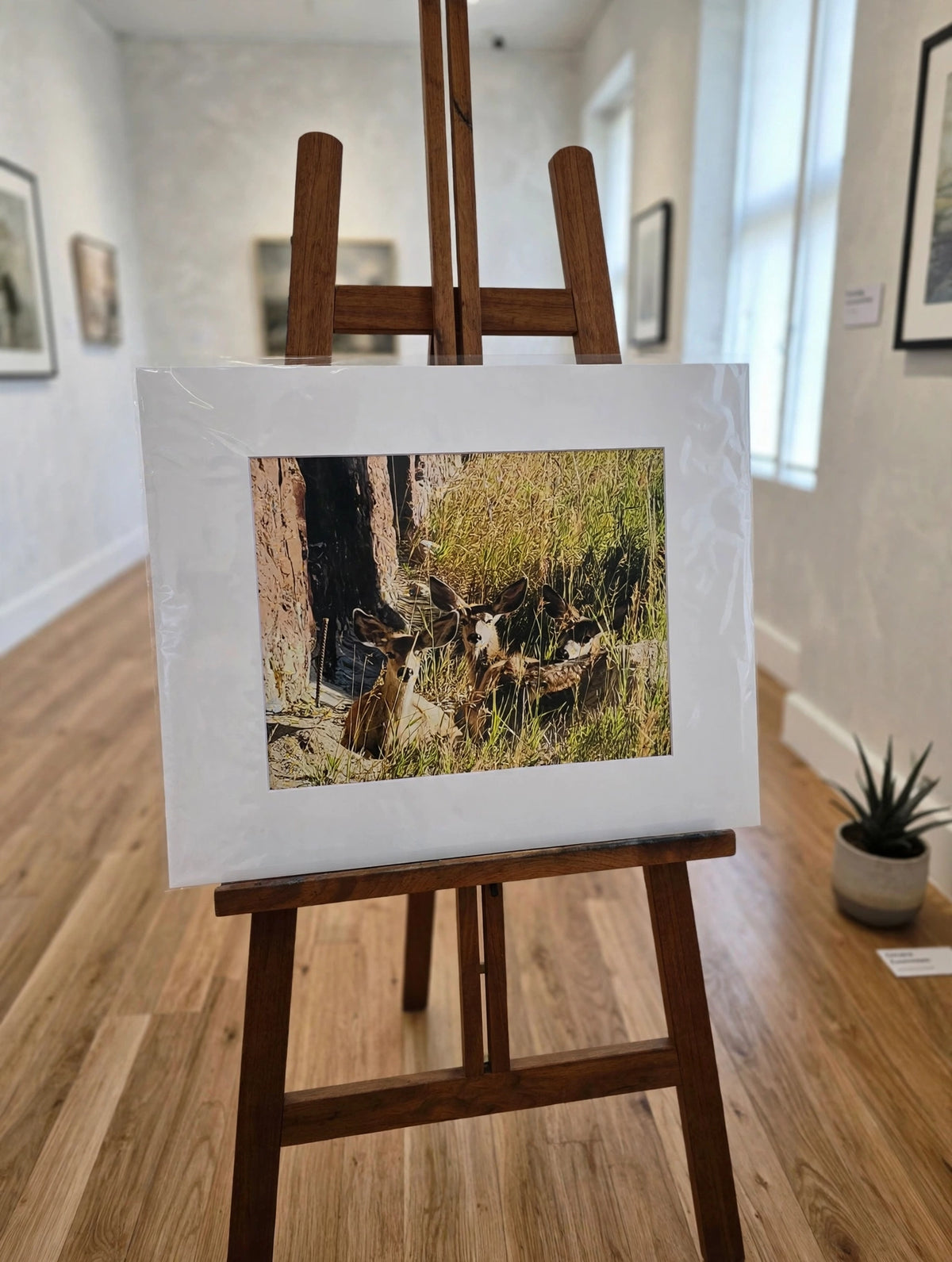 Art Prints