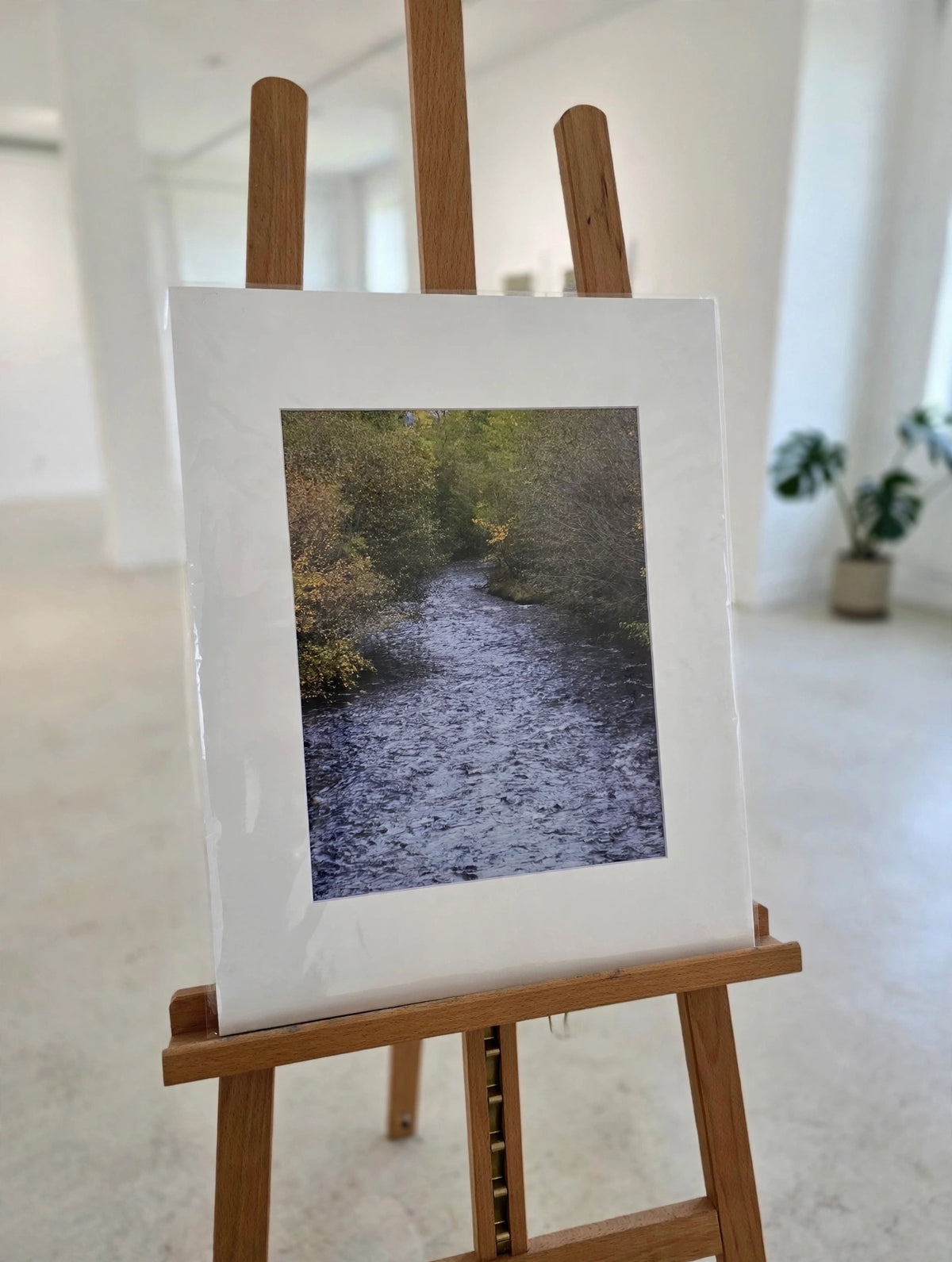 Art Prints
