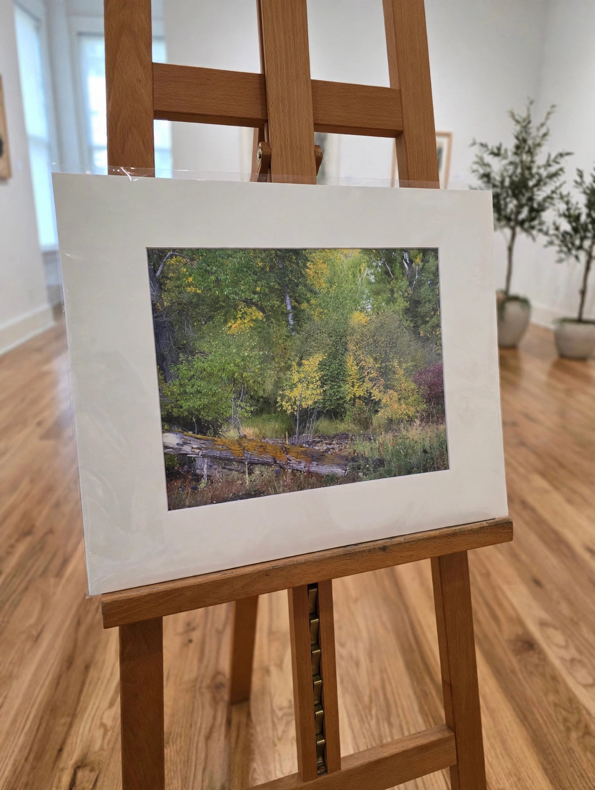 Art Prints