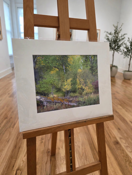 Art Prints
