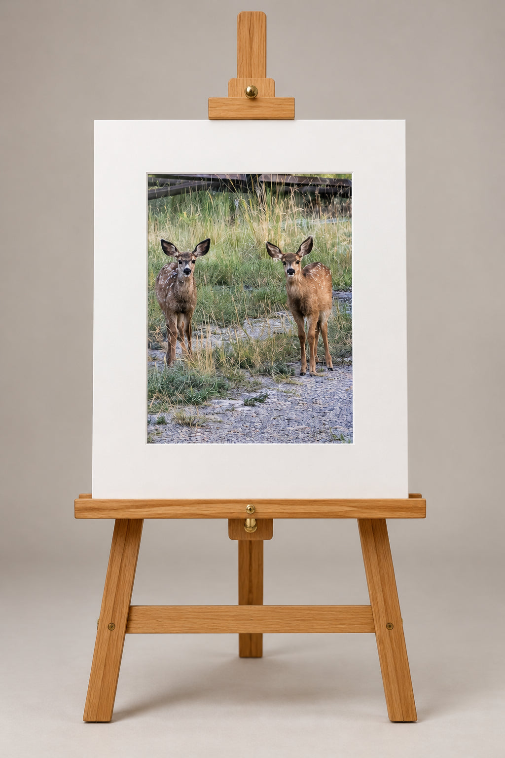 Art Prints
