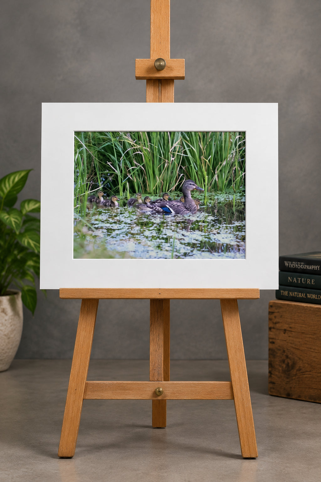 Art Prints