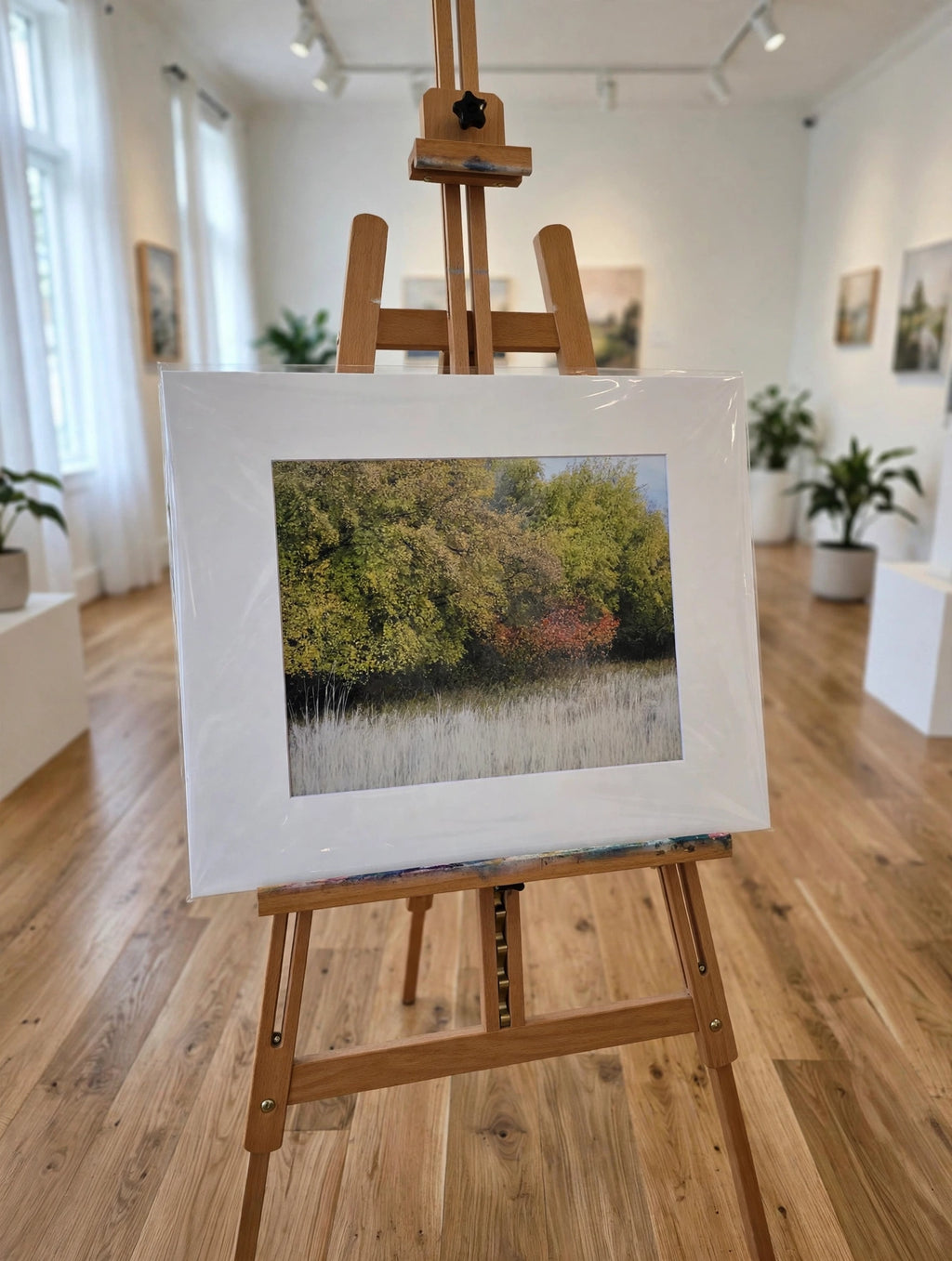 Art Prints