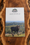 Moose