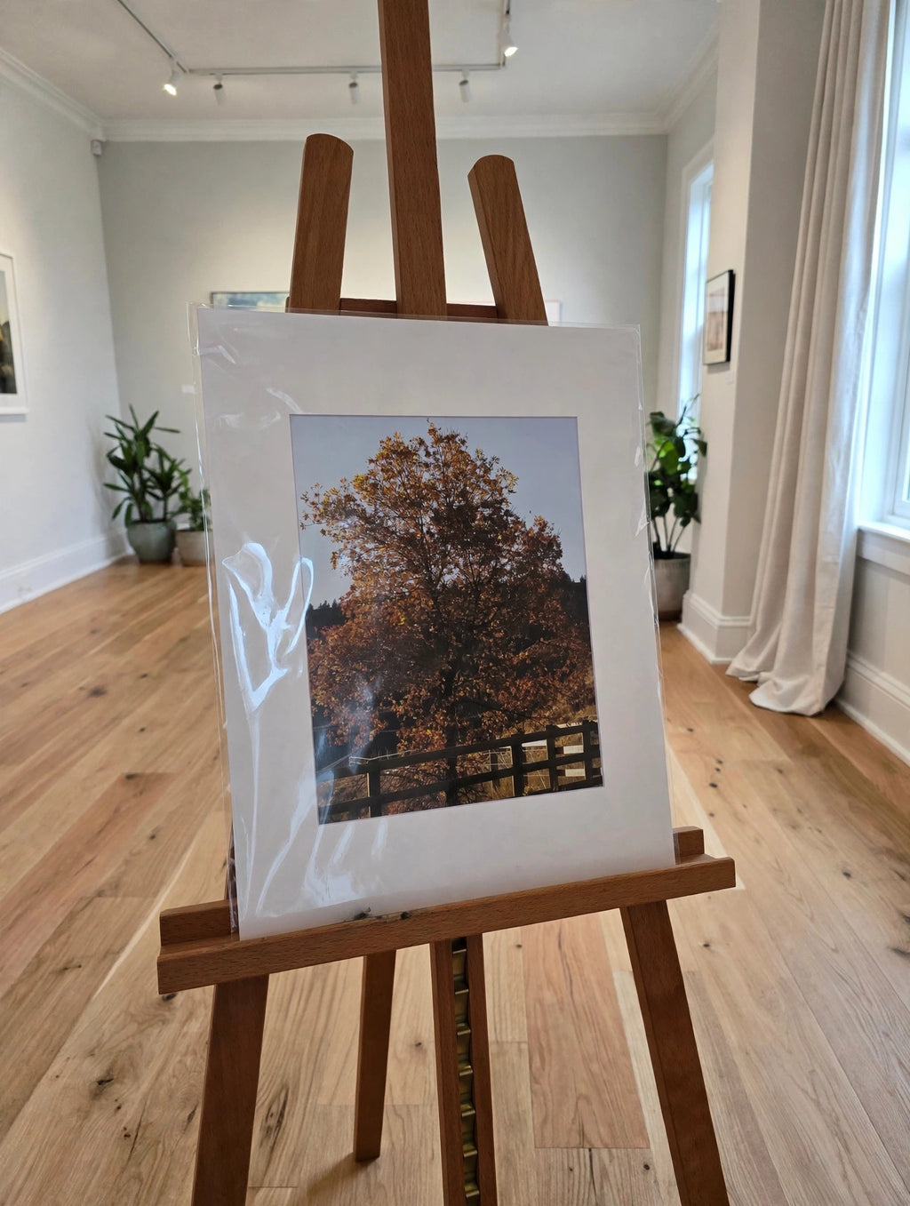 Art Prints