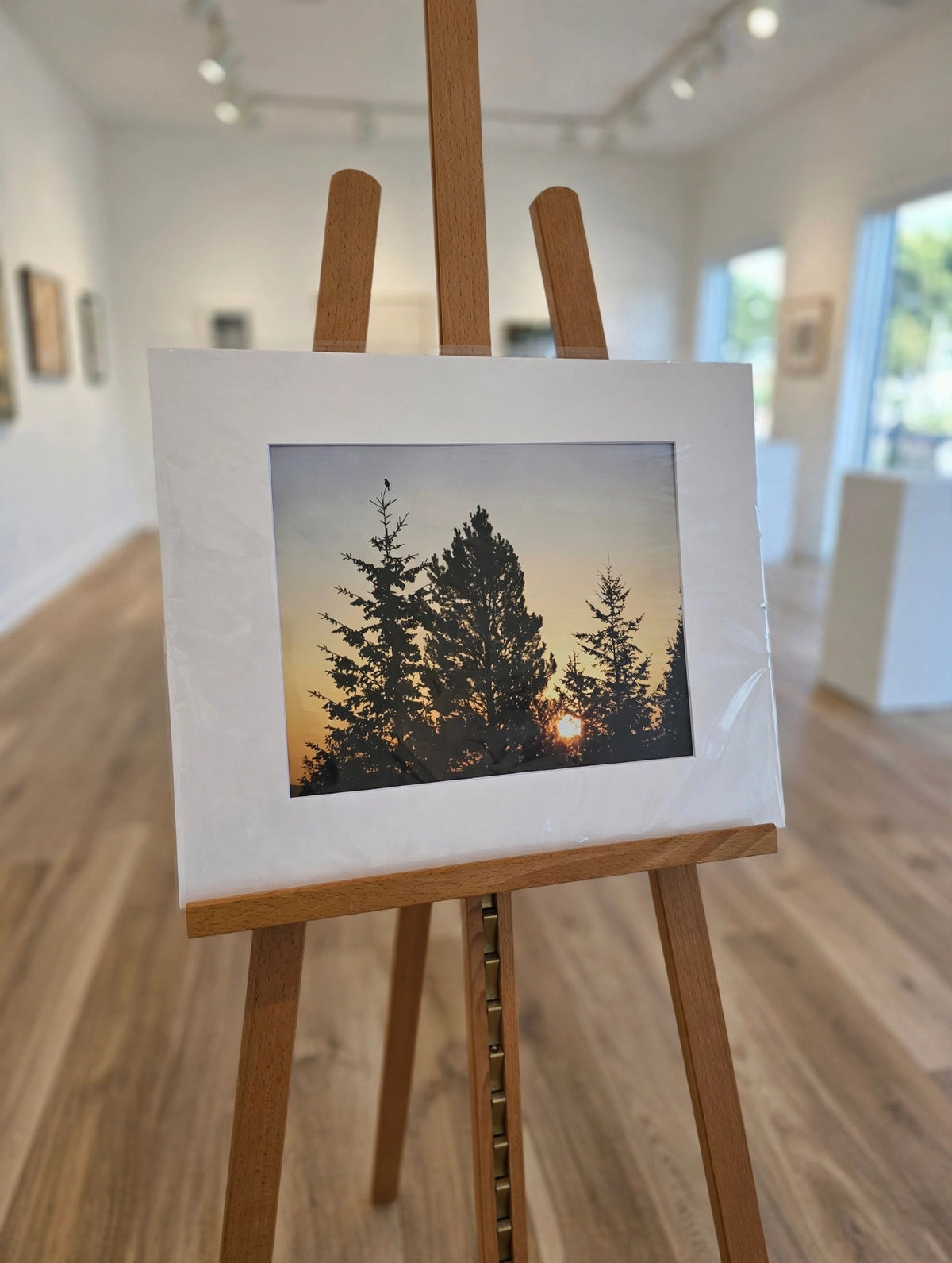 Art Prints