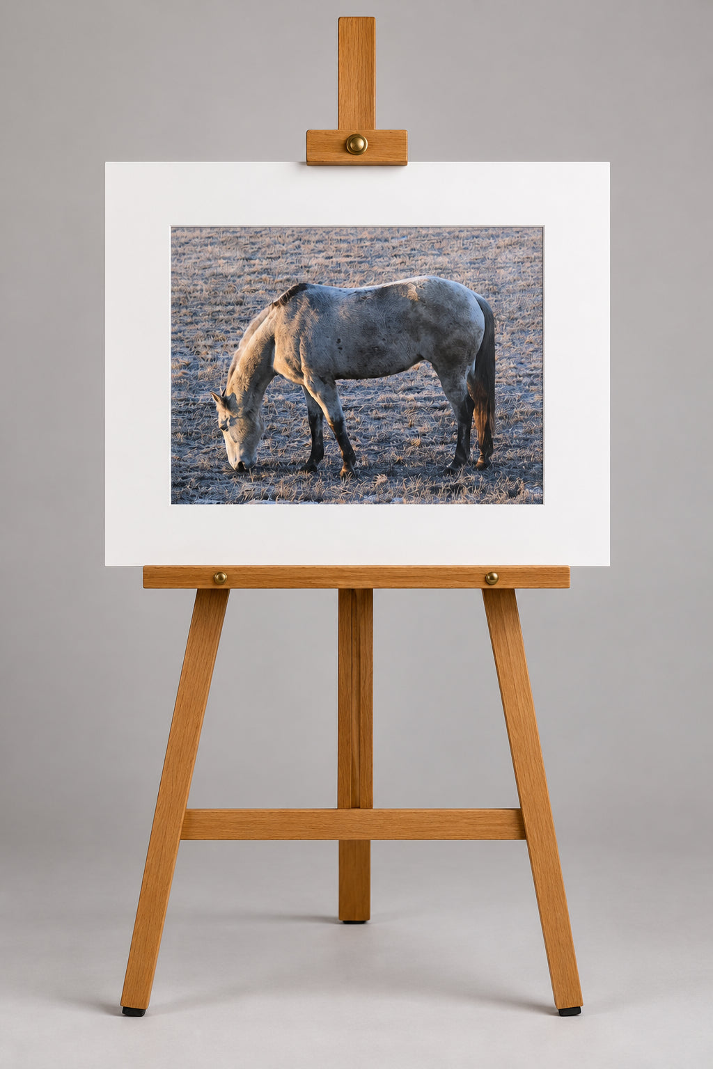 Art Prints