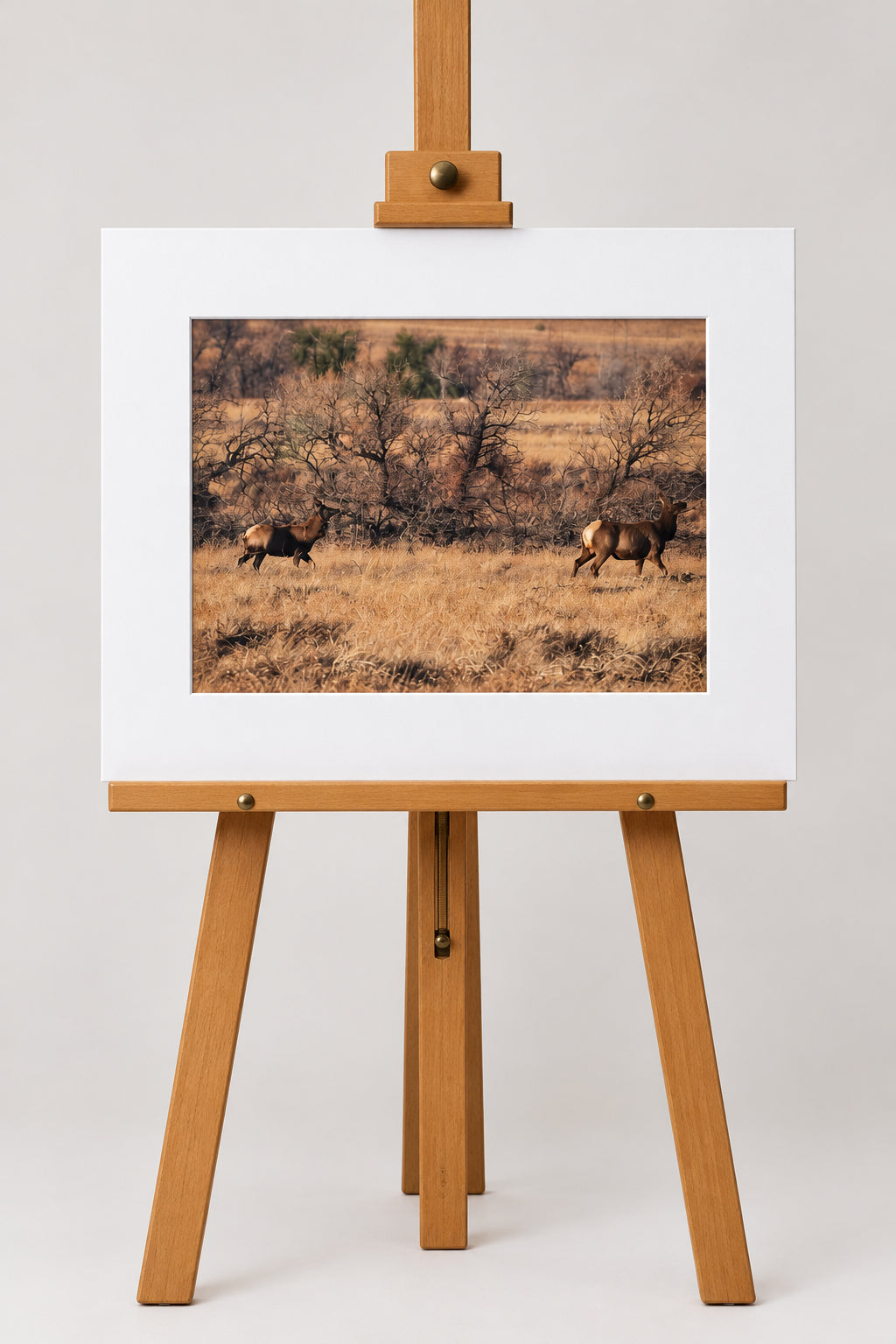 Art Prints